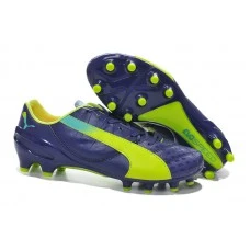 Puma evoSPEED 1-2 K FG Cheap Chaussure De Foot Violet Vert 